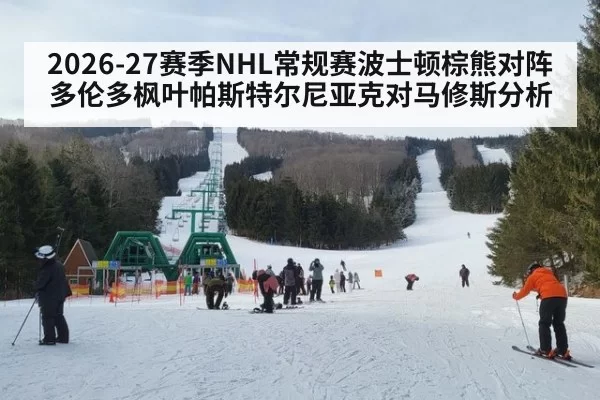 2026-27赛季NHL常规赛波士顿棕熊对阵多伦多枫叶帕斯特尔尼亚克对马修斯分析